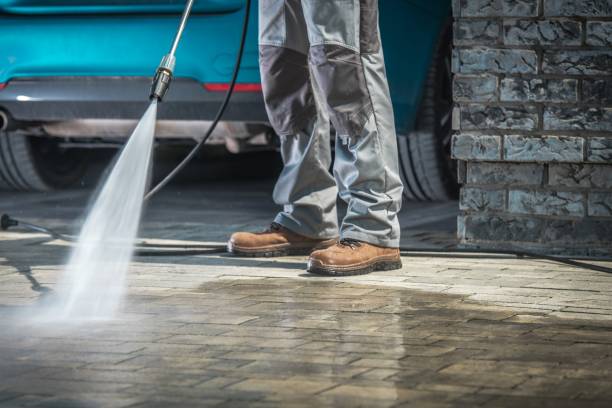 Best Residential House Exterior Washing  in Rogersville, MO
