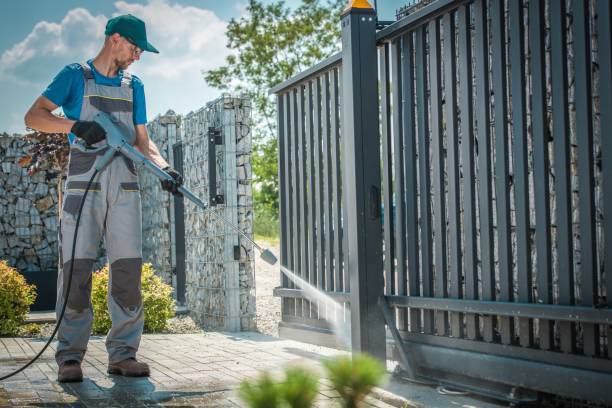 Boat and Dock Cleaning in Rogersville, MO