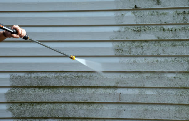 Best Patio and Deck Pressure Washing  in Rogersville, MO