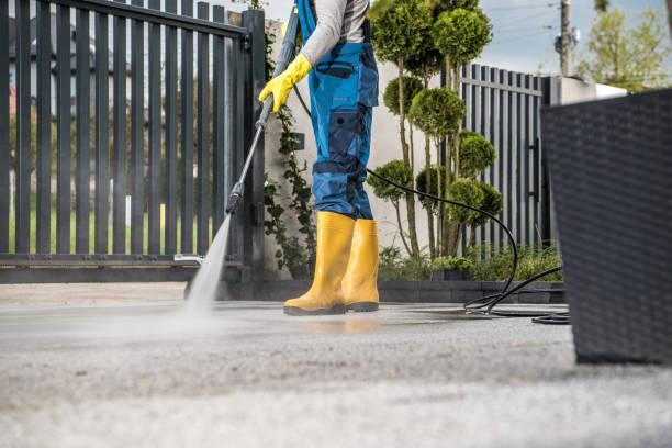 Best Driveway Pressure Washing  in Rogersville, MO